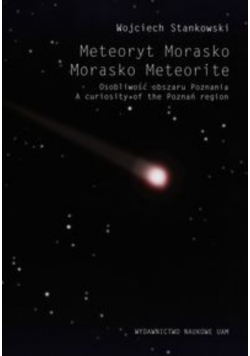 Meteoryt Morasko