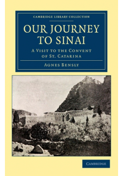 Our Journey to Sinai