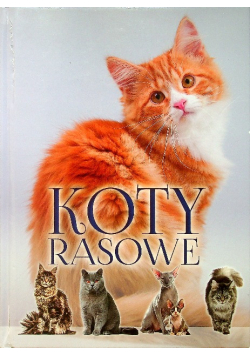 Koty rasowe