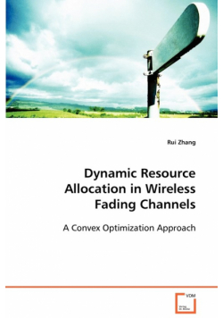 Dynamic Resource Allocation in Wireless Fading Channels