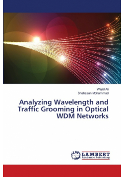 Analyzing Wavelength and Traffic Grooming in Optical WDM Networks