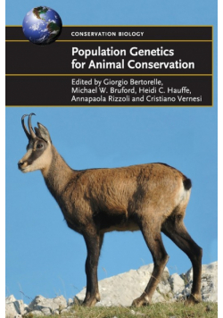 Population Genetics for Animal Conservation