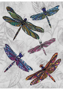 Karnet B6 z kopertą Dragonfly Dance