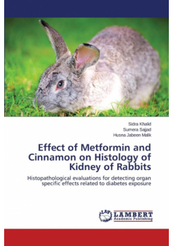 Effect of Metformin and Cinnamon on Histology of Kidney of Rabbits