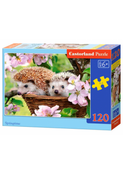 Puzzle Springtime 120