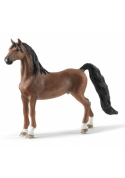 Wałach rasy Saddlebred