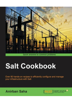Salt Cookbook