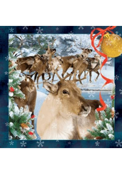 Pocztówka 3D Rudolf Święta Boże Narodzenie