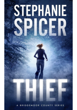 Thief