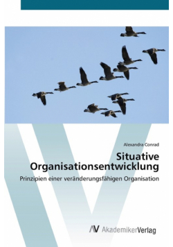 Situative Organisationsentwicklung