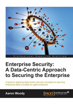 Enterprise Security