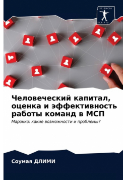 Человеческий капитал, оценка и эффективность работы команд в МСП