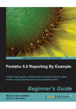 Pentaho 4.0 Reporting by Example