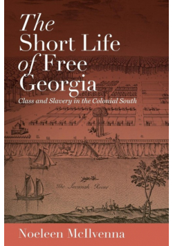 The Short Life of Free Georgia