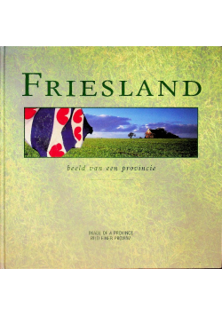 Friesland Beeld van een provincie