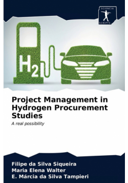 Project Management in Hydrogen Procurement Studies