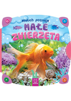 Maluch poznaje małe zwierzęta