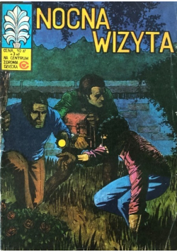 Nocna wizyta