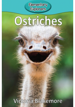 Ostriches