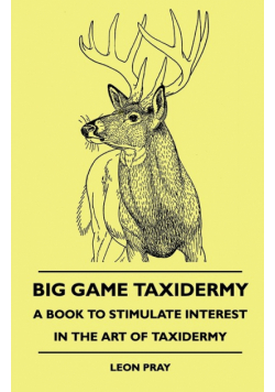 Big Game Taxidermy - A Book To Stimulate Interest In The Art Of Taxidermy