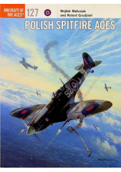 Polish Spitfire Aces