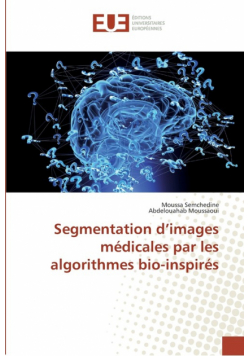 Segmentation d'images médicales par les algorithmes bio-inspirés