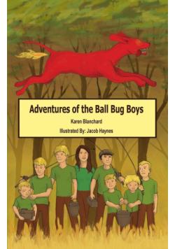 Adventures Of The Ball Bug Boys