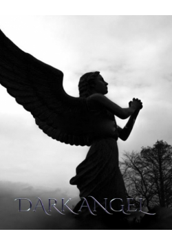 Dark Angel