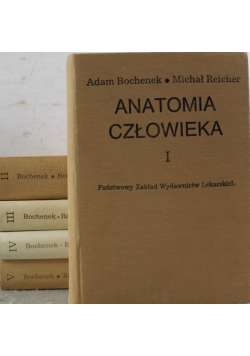 Anatomia człowieka tomy 1 do 5