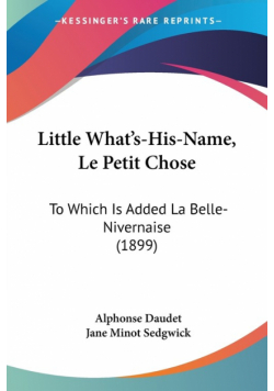 Little What's-His-Name, Le Petit Chose