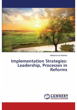 Implementation Strategies