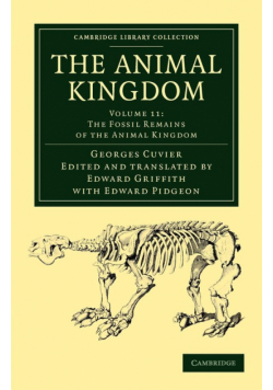 The Animal Kingdom - Volume 11