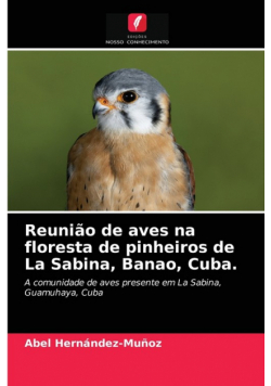 Reunião de aves na floresta de pinheiros de La Sabina, Banao, Cuba.