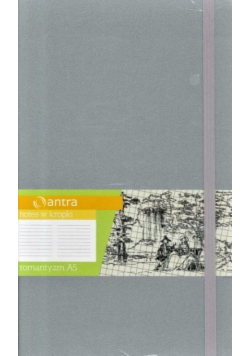 Notes A5 Kropki Romantyzm Srebrny ANTRA