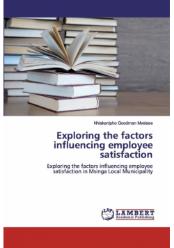 Exploring the factors influencing employee satisfaction