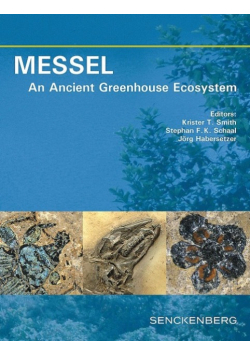 Messel An Ancient Greenhouse Ecosystem