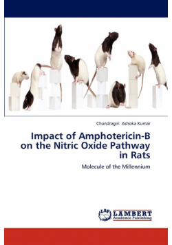 Impact of Amphotericin-B on the Nitric Oxide Pathway in Rats