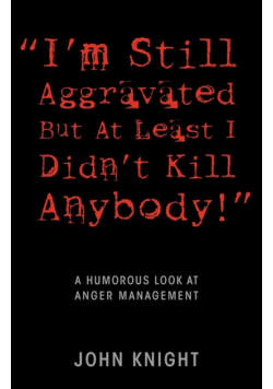 "I'm Still Aggravated But At Least I Didn't Kill Anybody!"