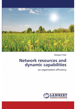 Network resources and dynamic capabilities