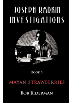 Joseph Radkin Investigations - Book 5