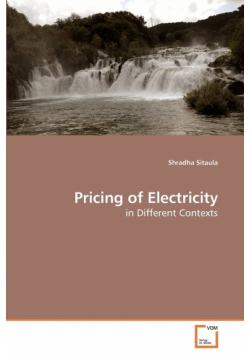 Pricing of Electricity