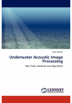 Underwater Acoustic Image Processing