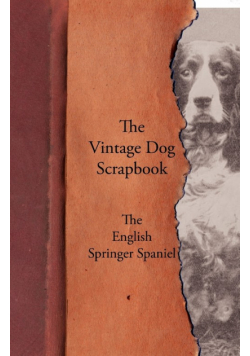 The Vintage Dog Scrapbook - The English Springer Spaniel