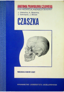 Czaszka
