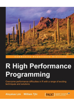 R High Performance Programming