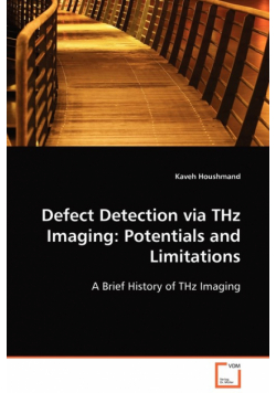 Defect Detection via THz Imaging