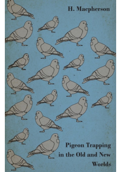 Pigeon Trapping in the Old and New Worlds