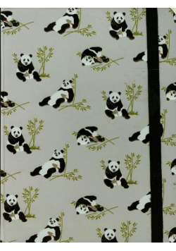 Notatnik Midi PANDA