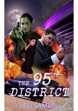 The 95th District