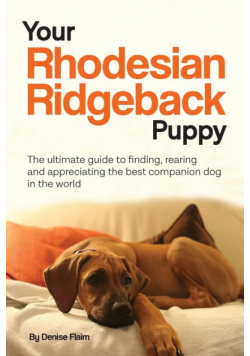 Your Rhodesian Ridgeback Puppy